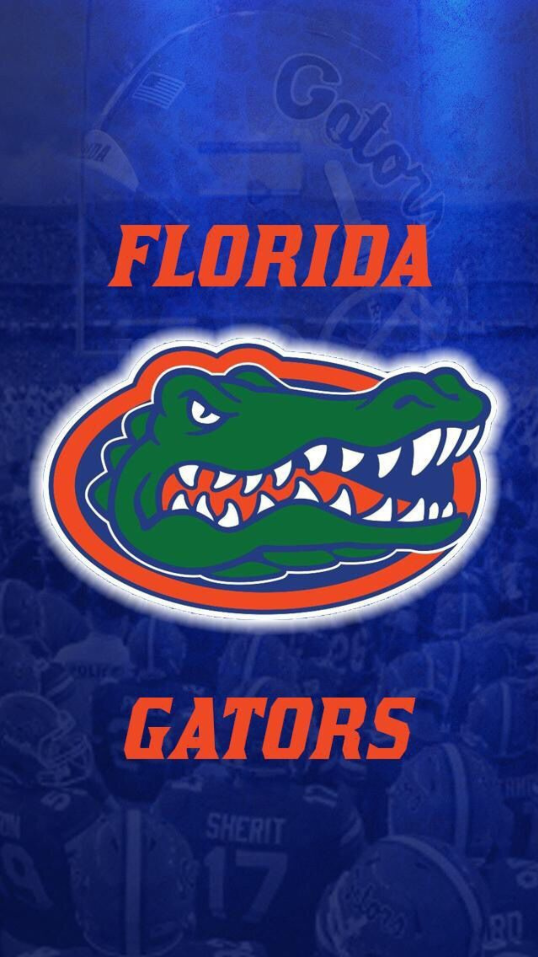 Florida Gators Banner